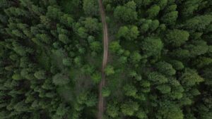 2 jours de trek dans le Massif des Vosges