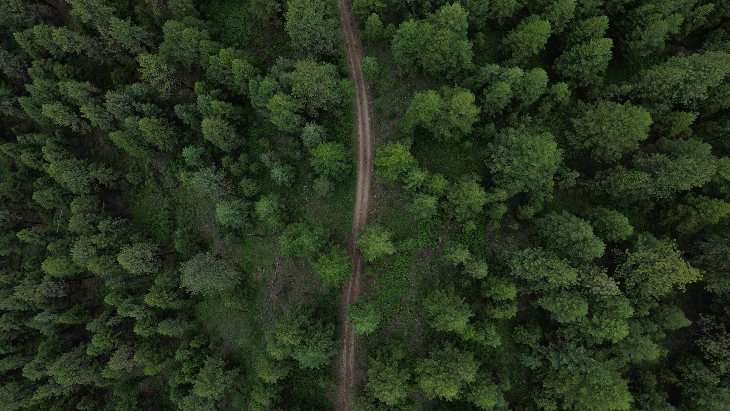 eric-rdg-6Kzm-xPzrAk-unsplash